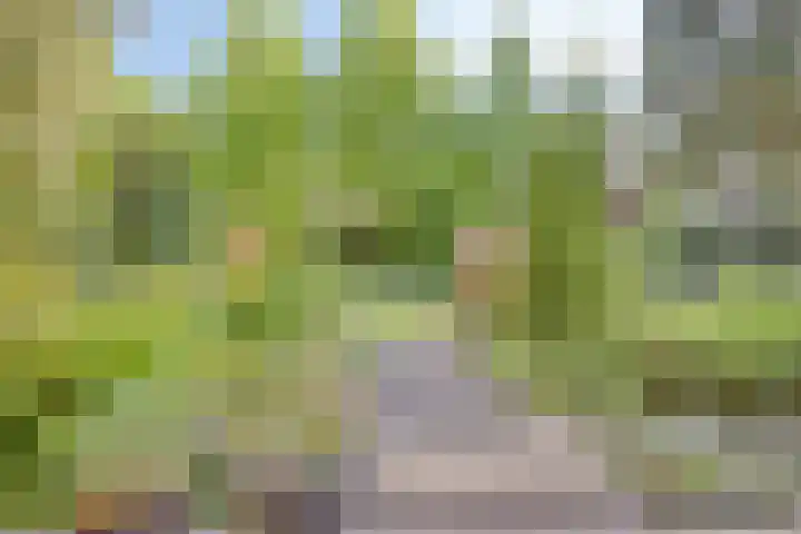Zweerslaan 9 Son en Breugel thumbnail 87