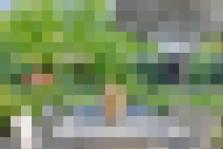 Zweerslaan 9 Son en Breugel thumbnail 88