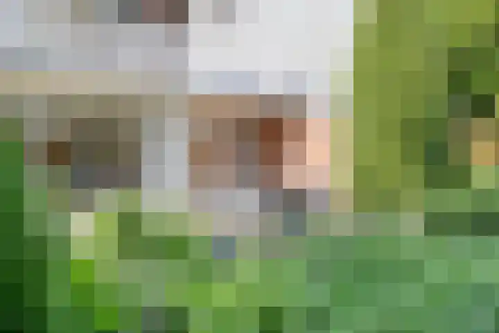 Zweerslaan 9 Son en Breugel thumbnail 89