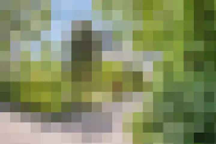 Zweerslaan 9 Son en Breugel thumbnail 9