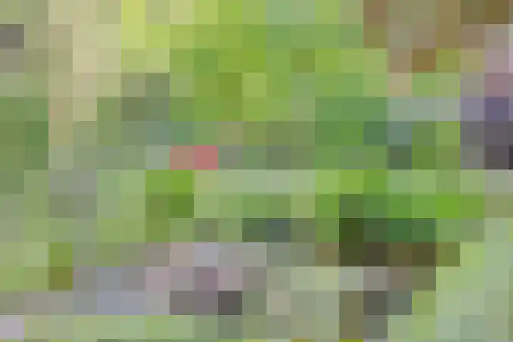 Zweerslaan 9 Son en Breugel thumbnail 90