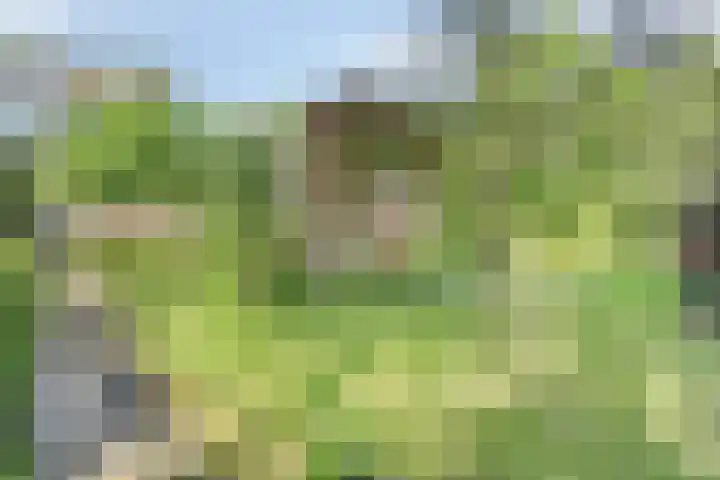 Zweerslaan 9 Son en Breugel thumbnail 91