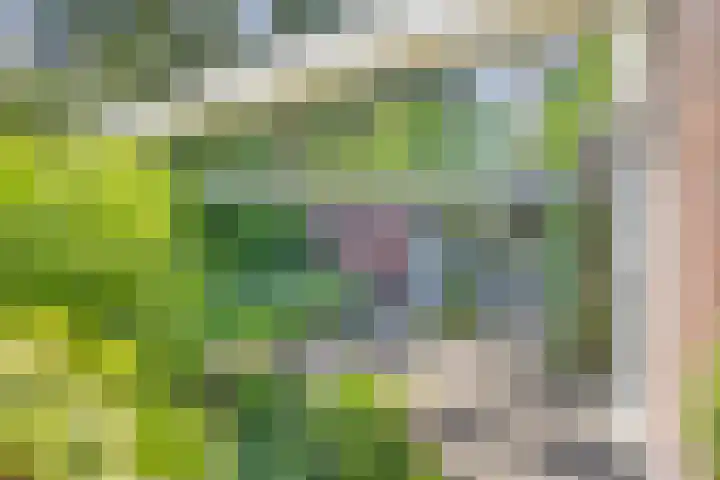 Zweerslaan 9 Son en Breugel thumbnail 92
