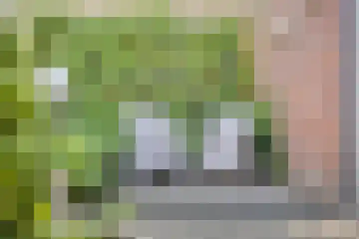 Zweerslaan 9 Son en Breugel thumbnail 93