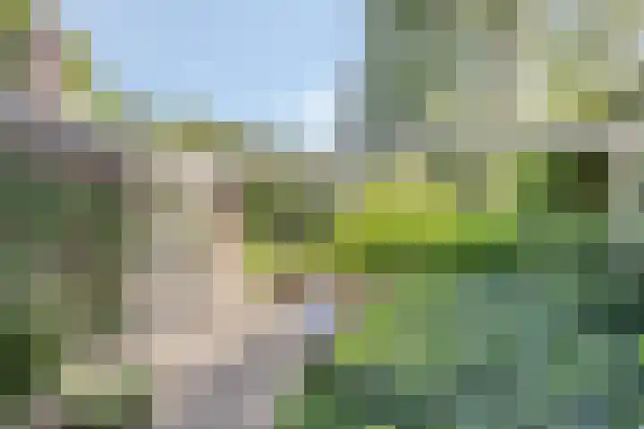 Zweerslaan 9 Son en Breugel thumbnail 94