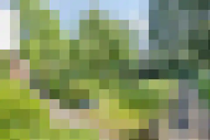 Zweerslaan 9 Son en Breugel thumbnail 95