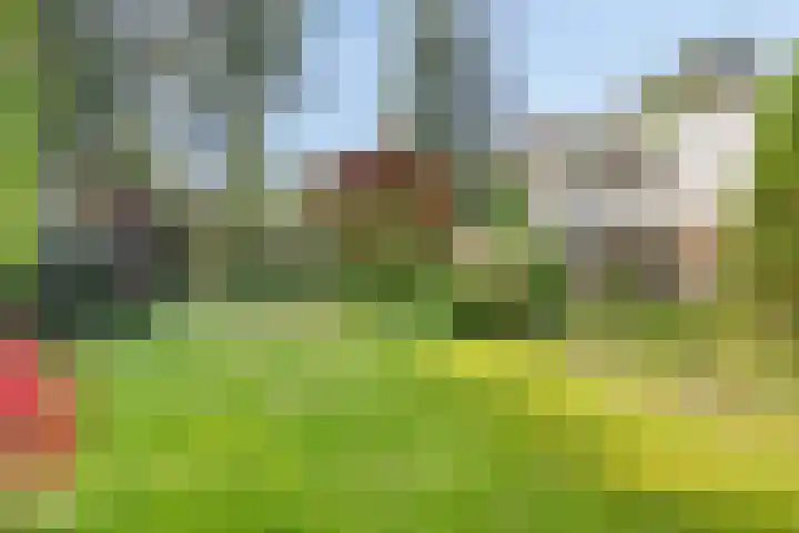 Zweerslaan 9 Son en Breugel thumbnail 96