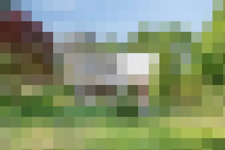 Zweerslaan 9 Son en Breugel thumbnail 97