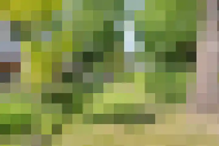 Zweerslaan 9 Son en Breugel thumbnail 98