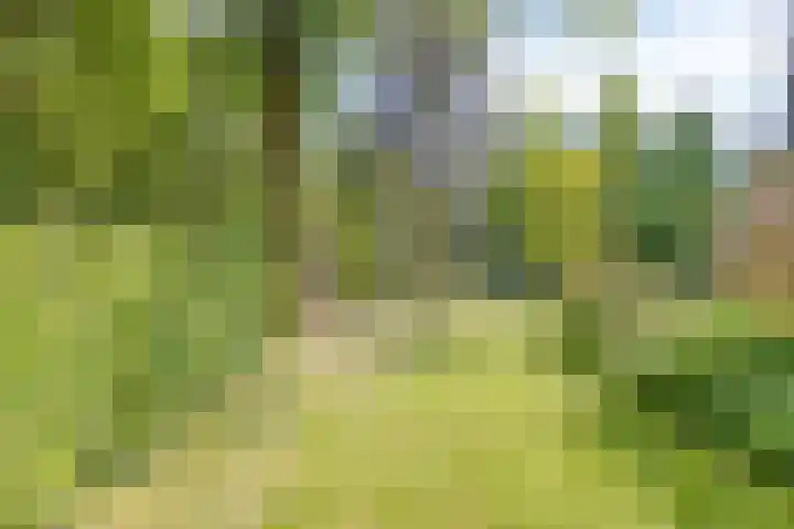 Zweerslaan 9 Son en Breugel thumbnail 99