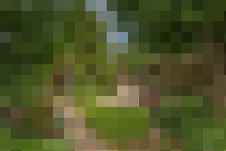 Zweersstraat 43 Almelo thumbnail 4