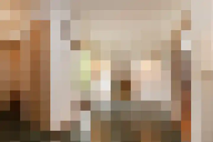 Zweersstraat 8 Berkel en Rodenrijs thumbnail 11