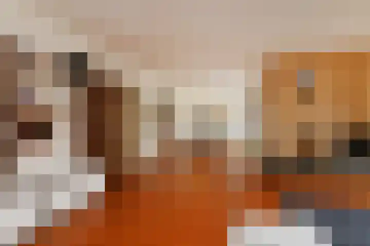Zweersstraat 8 Berkel en Rodenrijs thumbnail 15
