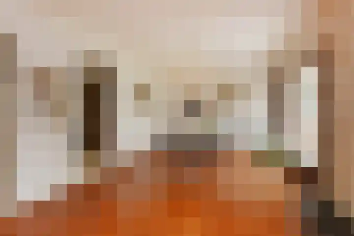 Zweersstraat 8 Berkel en Rodenrijs thumbnail 17