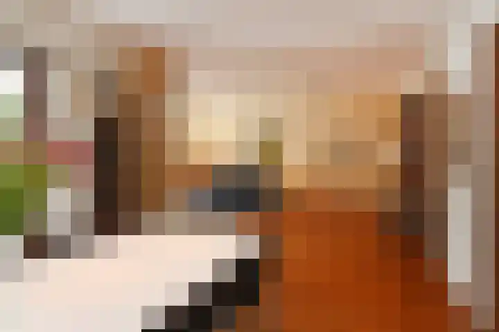Zweersstraat 8 Berkel en Rodenrijs thumbnail 18