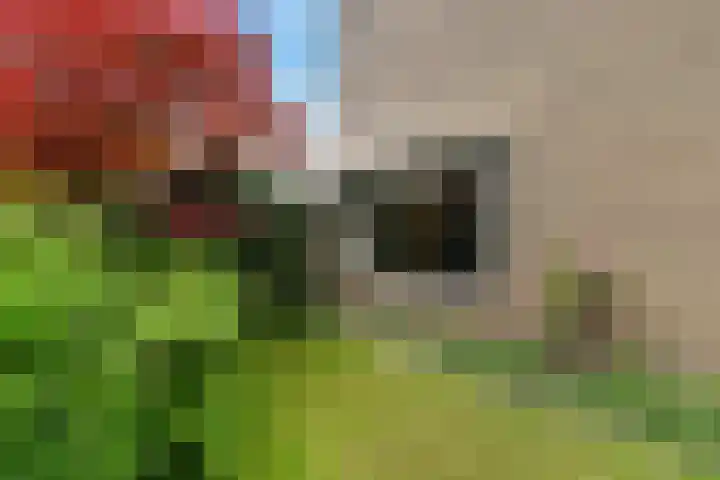 Zweersstraat 8 Berkel en Rodenrijs thumbnail 23
