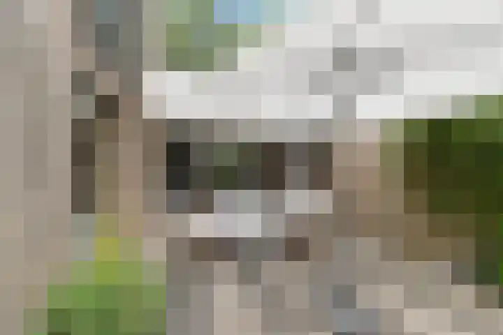 Zweersstraat 8 Berkel en Rodenrijs thumbnail 25
