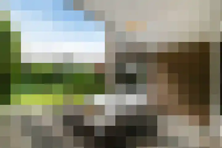 Zweersstraat 8 Berkel en Rodenrijs thumbnail 27