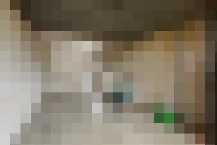 Zweersstraat 8 Berkel en Rodenrijs thumbnail 33