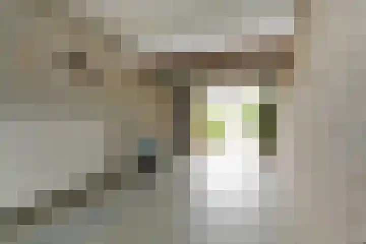 Zweersstraat 8 Berkel en Rodenrijs thumbnail 34