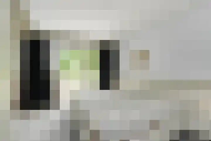 Zweersstraat 8 Berkel en Rodenrijs thumbnail 35
