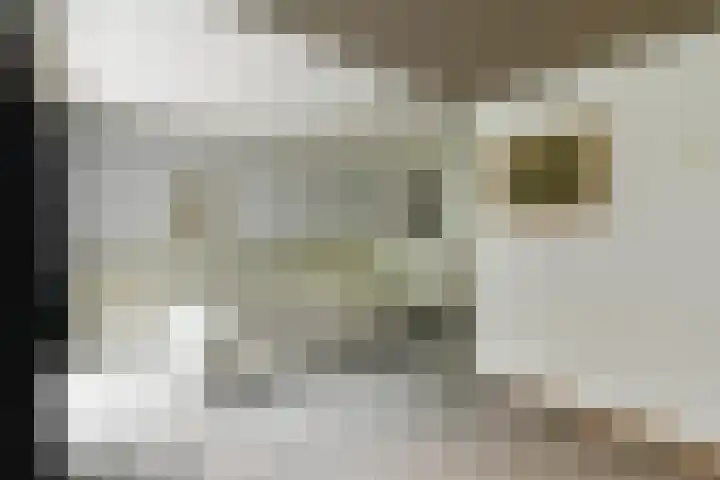 Zweersstraat 8 Berkel en Rodenrijs thumbnail 37