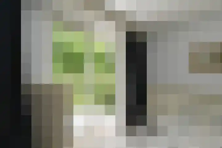 Zweersstraat 8 Berkel en Rodenrijs thumbnail 38