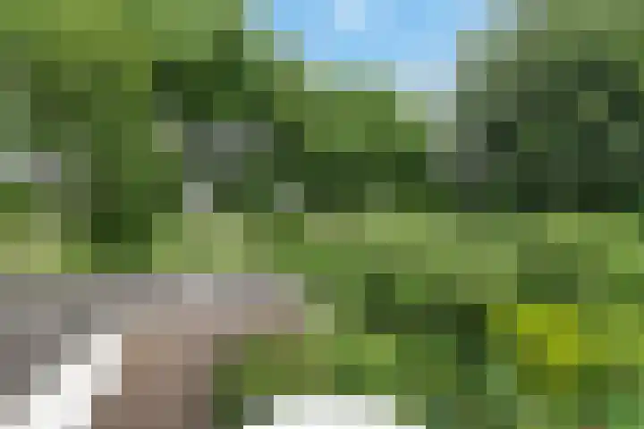 Zweersstraat 8 Berkel en Rodenrijs thumbnail 39