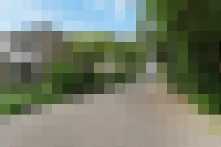 Zweersstraat 8 Berkel en Rodenrijs thumbnail 5