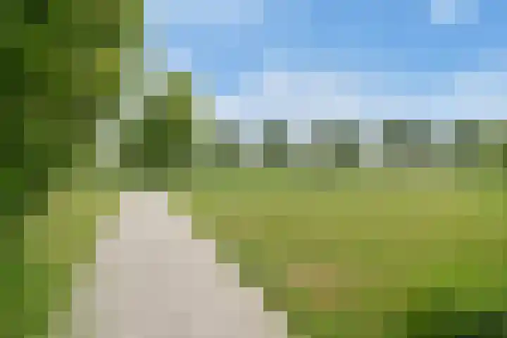 Zweersstraat 8 Berkel en Rodenrijs thumbnail 52