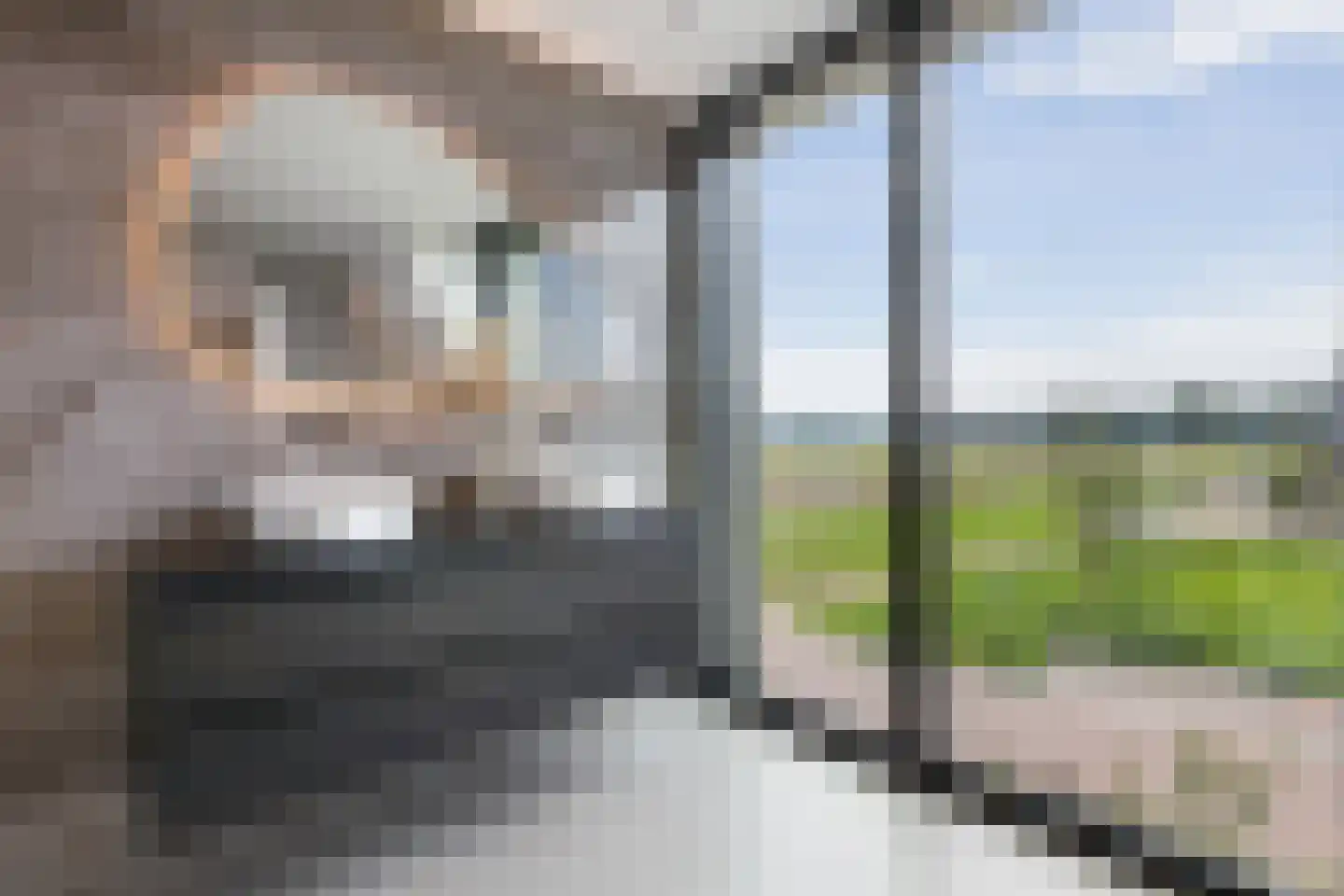 Zweiershoek 18 Harskamp thumbnail 5