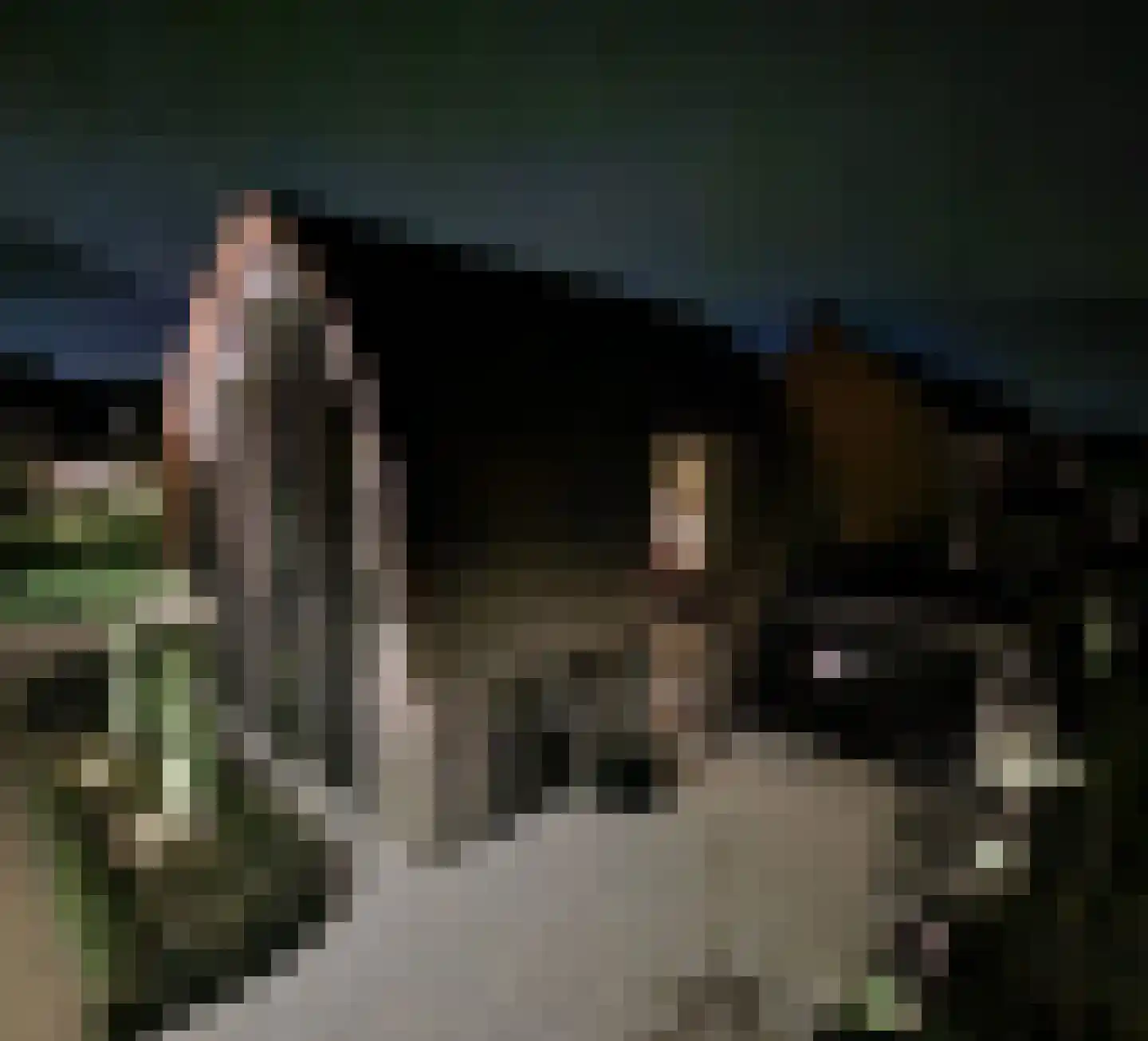 Zweiershoek 18 Harskamp thumbnail 56