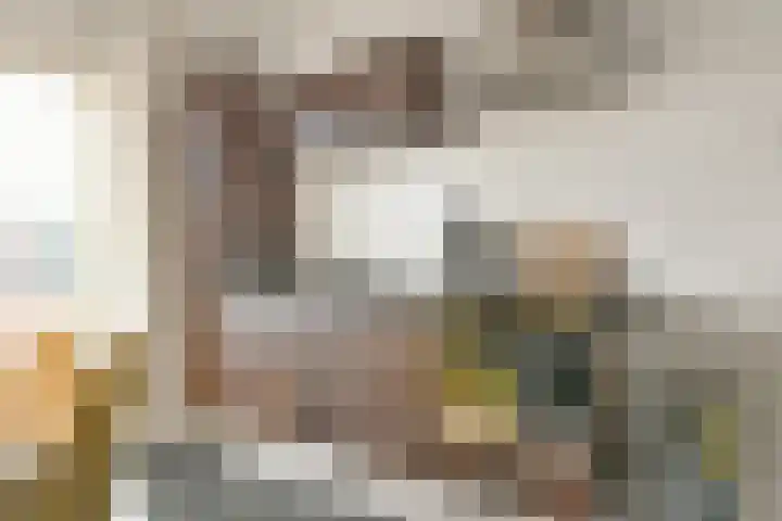 Zweilandstraat 38 A Buitenkaag thumbnail 7