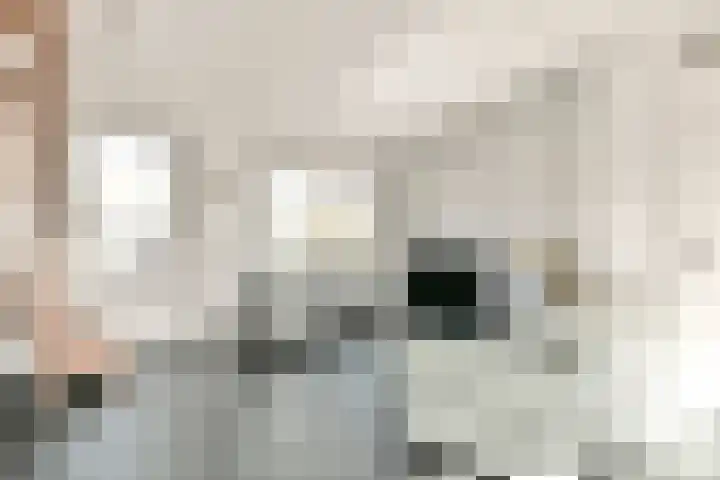 Zweilandstraat 38 A Buitenkaag thumbnail 8