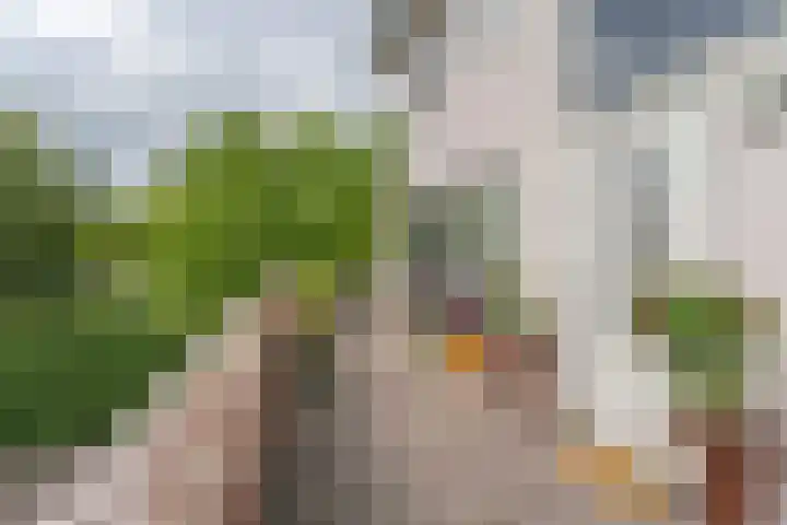 Zweilandstraat 46 A Buitenkaag thumbnail 19