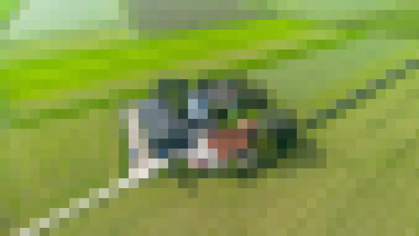 Zweinserweg 7 Peins thumbnail 11