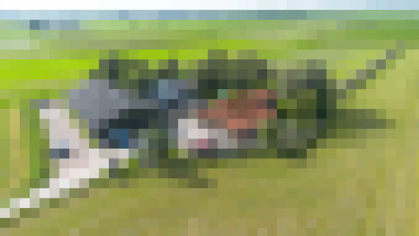 Zweinserweg 7 Peins thumbnail 12