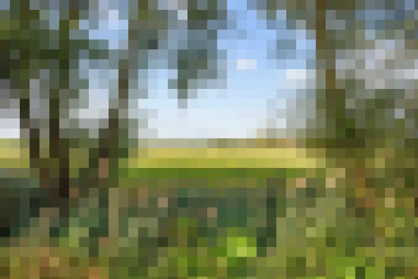 Zweinserweg 7 Peins thumbnail 40