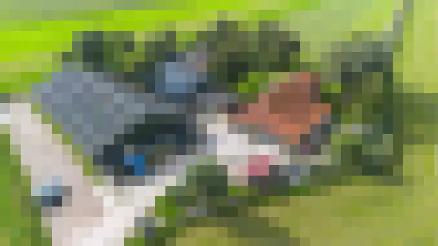 Zweinserweg 7 Peins thumbnail 7