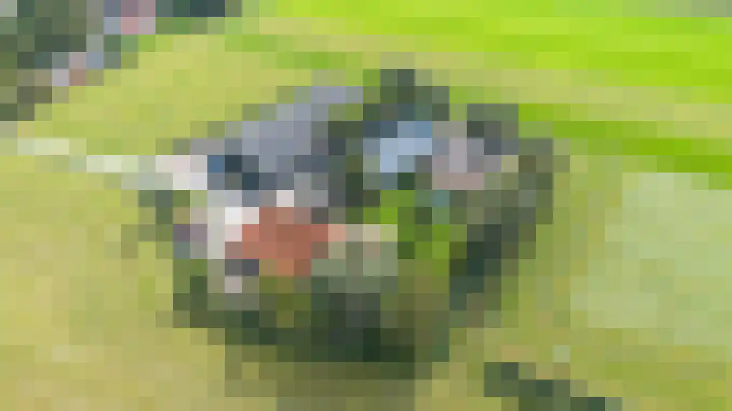 Zweinserweg 7 Peins thumbnail 82