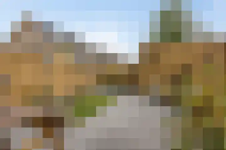 Zwembaan 108 Vlaardingen thumbnail 23