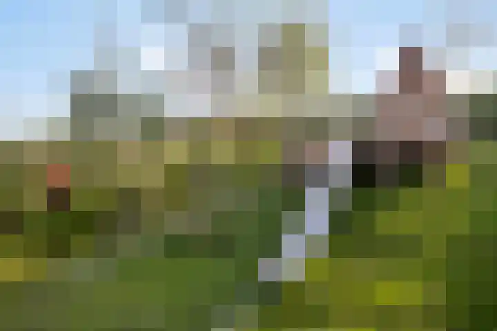 Zwembaan 108 Vlaardingen thumbnail 32