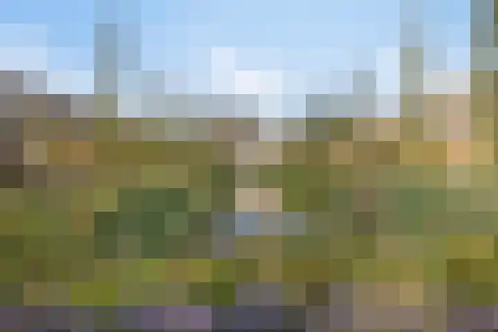 Zwembaan 108 Vlaardingen thumbnail 34