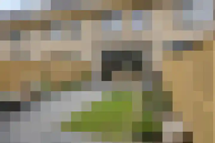 Zwembaan 108 Vlaardingen thumbnail 4