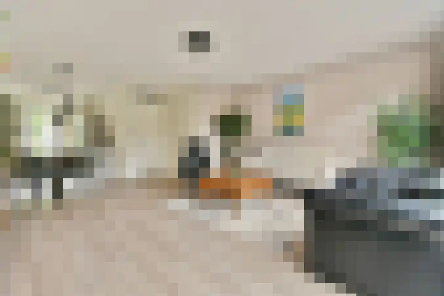 Zwembaan 179 Vlaardingen thumbnail 11