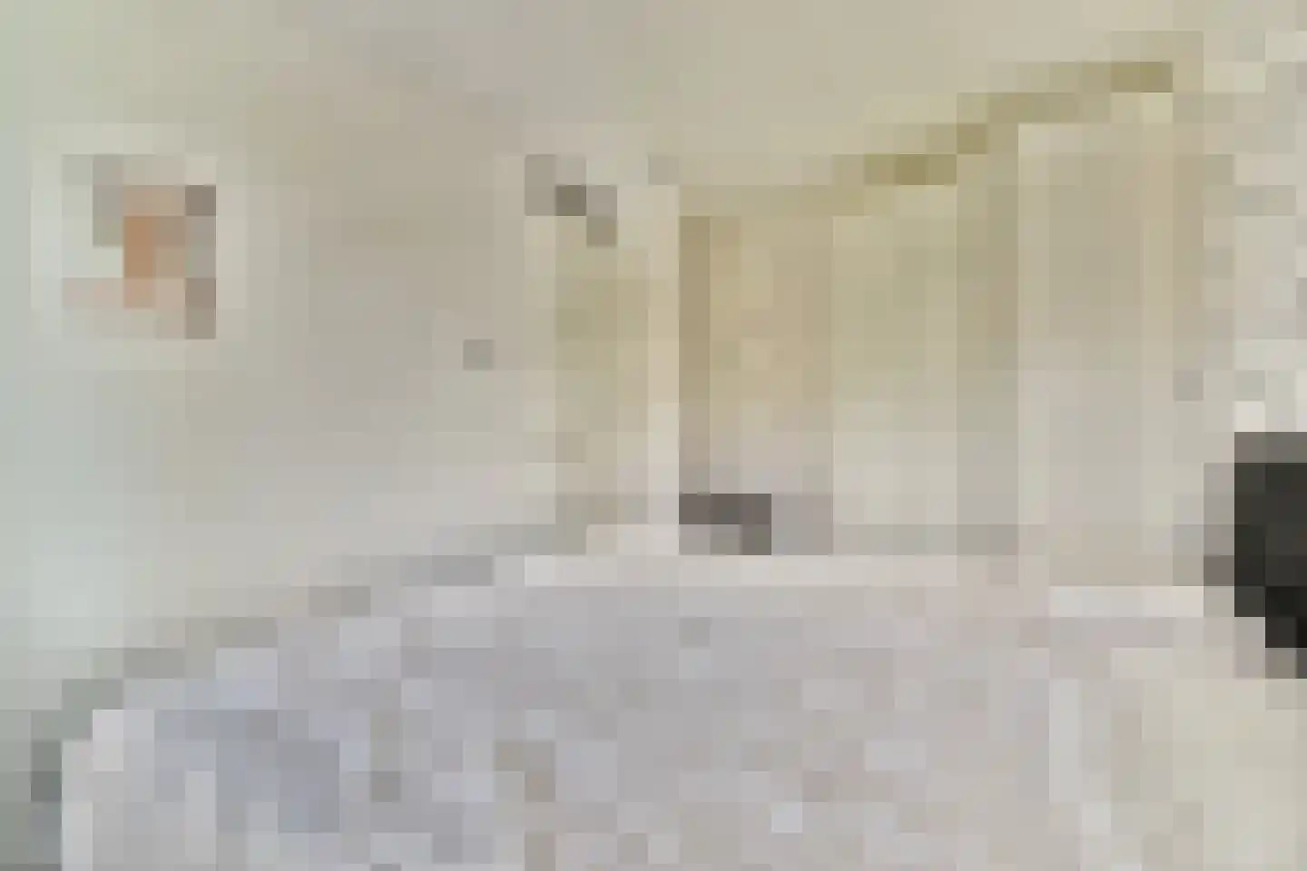 Zwembaan 179 Vlaardingen thumbnail 14