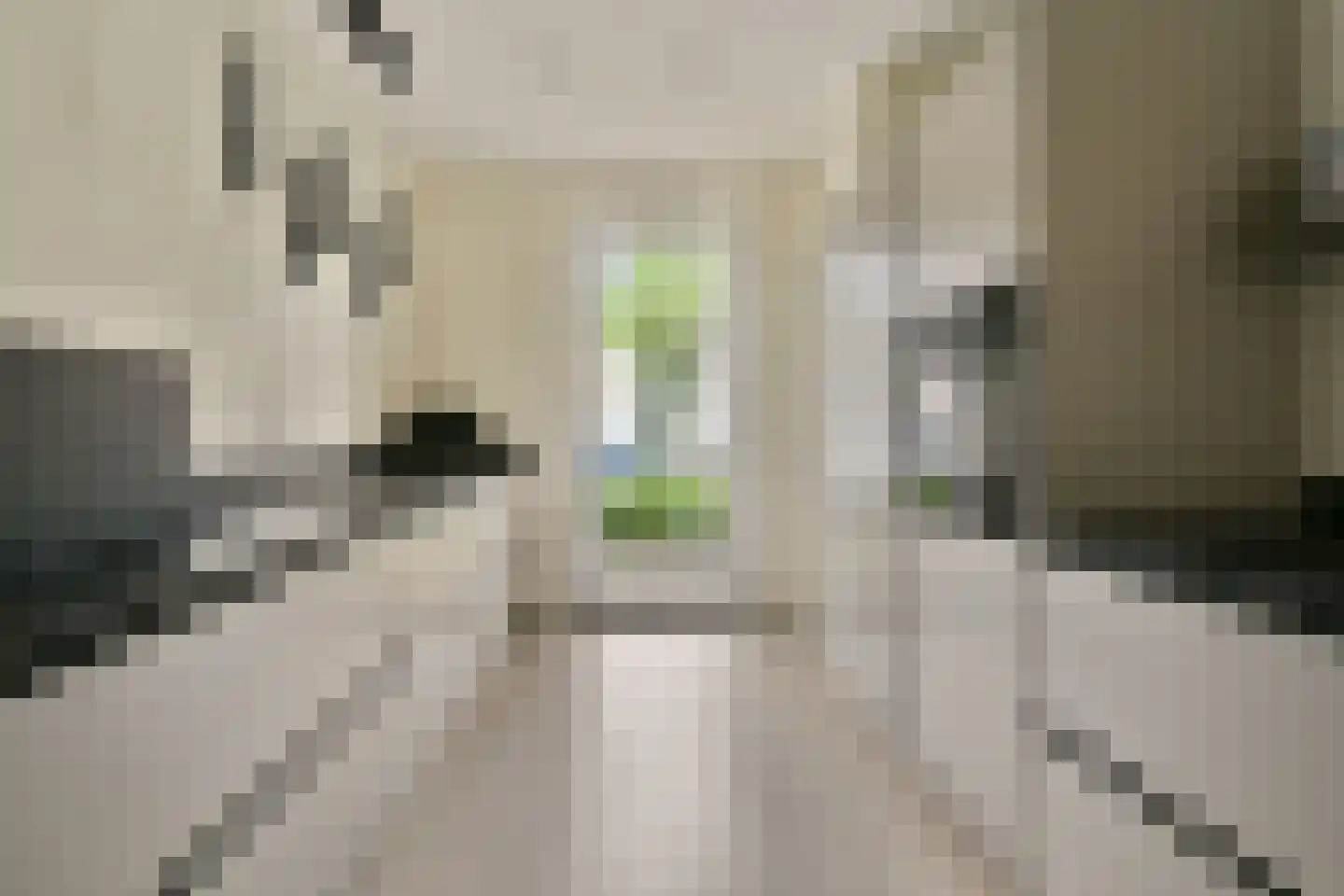 Zwembaan 179 Vlaardingen thumbnail 17