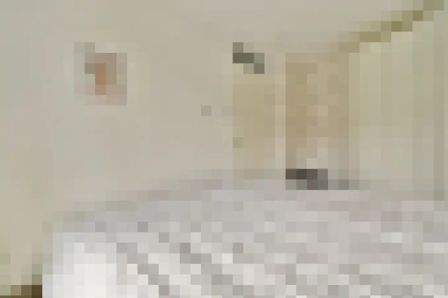 Zwembaan 179 Vlaardingen thumbnail 24