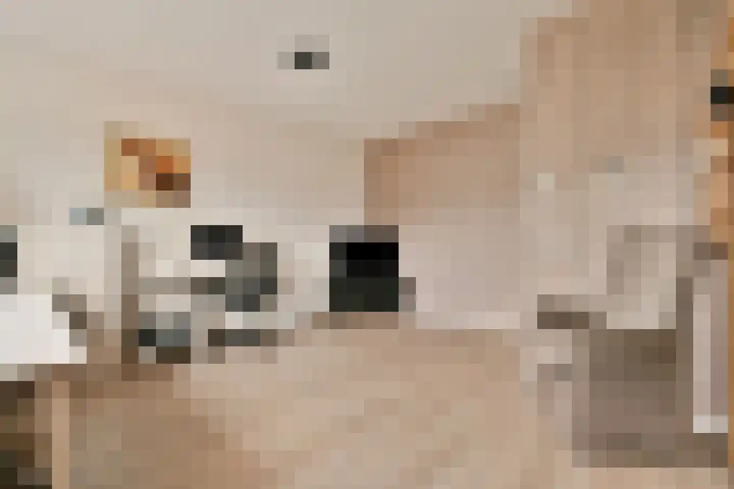 Zwembaan 179 Vlaardingen thumbnail 28
