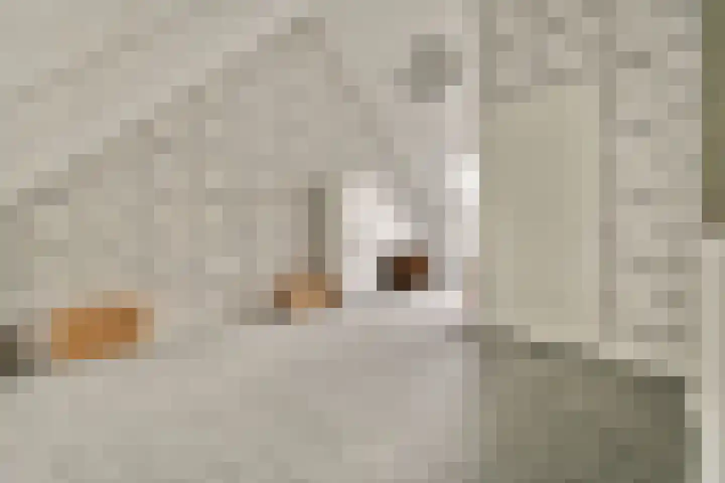 Zwembaan 179 Vlaardingen thumbnail 33